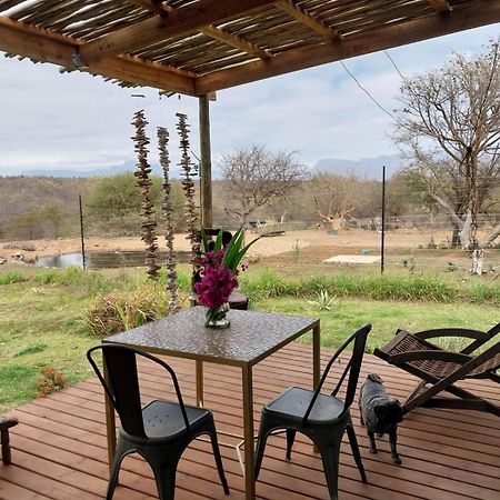 Hippomoon Lodge Game Reserve Hoedspruit Buitenkant foto