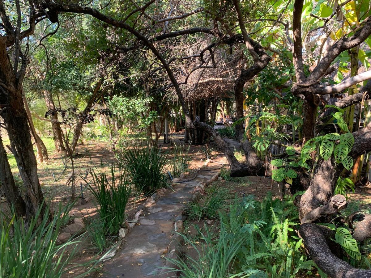 Hippomoon Lodge Game Reserve Hoedspruit Buitenkant foto