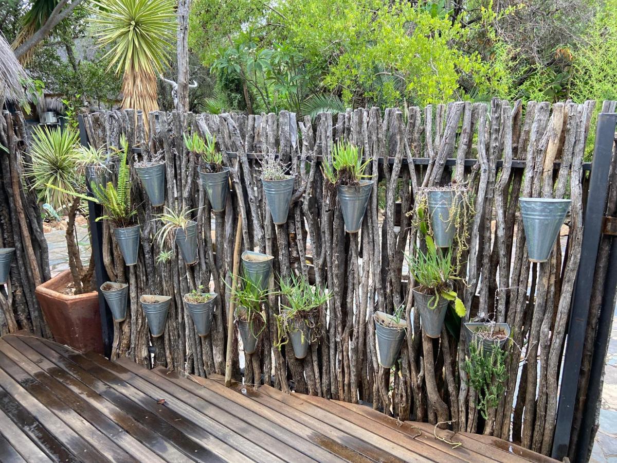 Hippomoon Lodge Game Reserve Hoedspruit Buitenkant foto
