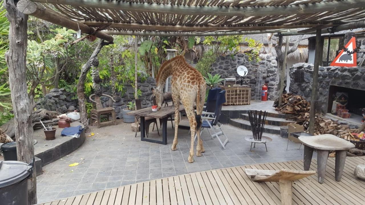 Hippomoon Lodge Game Reserve Hoedspruit Buitenkant foto