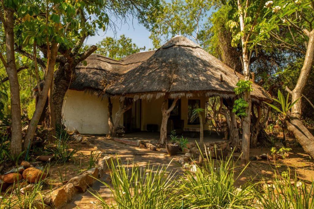 Hippomoon Lodge Game Reserve Hoedspruit Buitenkant foto