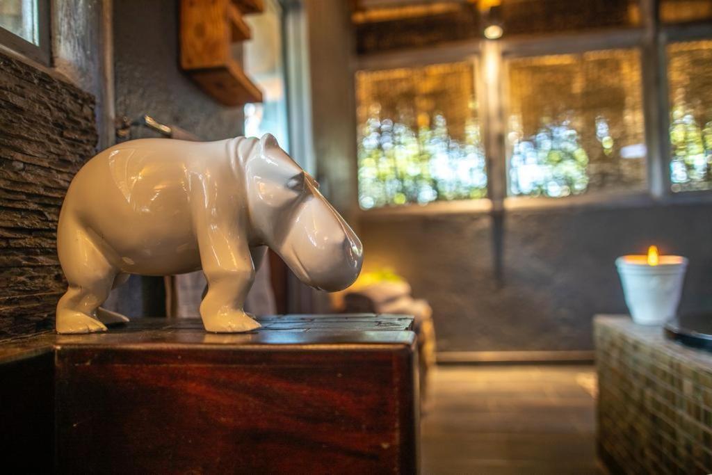 Hippomoon Lodge Game Reserve Hoedspruit Buitenkant foto