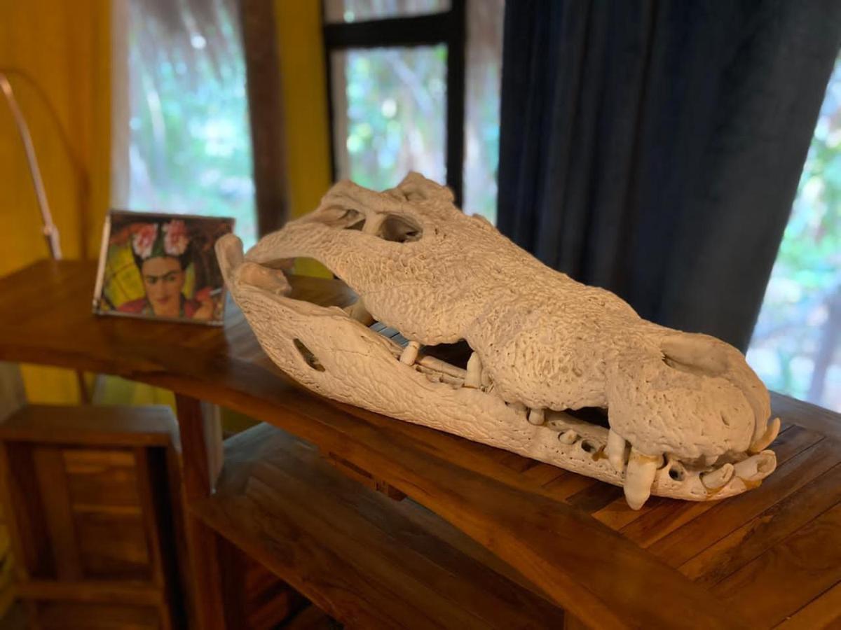 Hippomoon Lodge Game Reserve Hoedspruit Buitenkant foto
